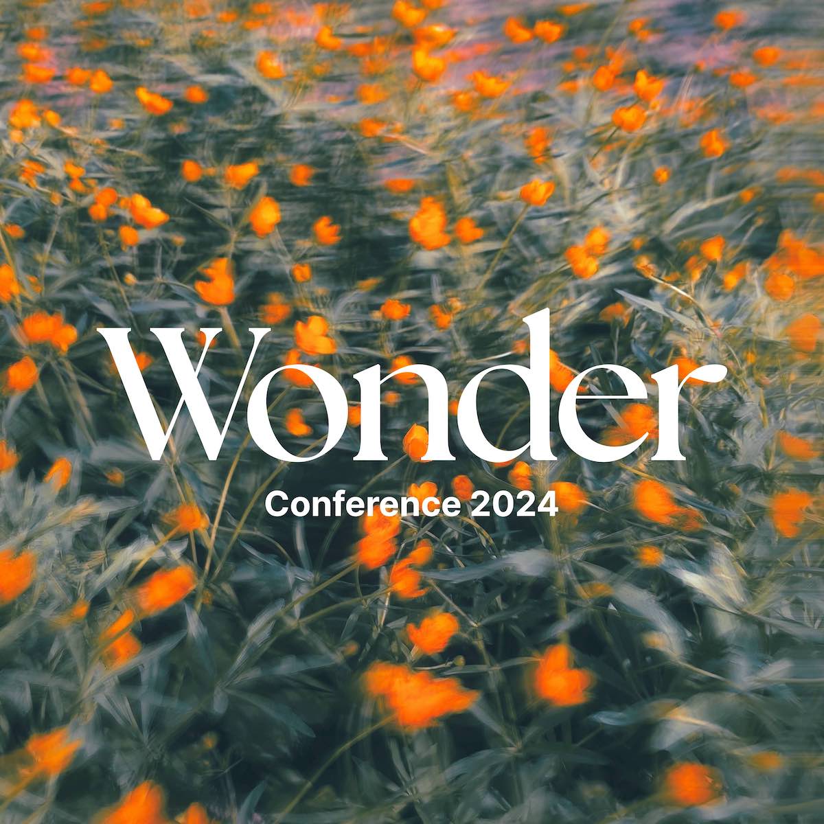 Wonder Conference Apr 17, 2024 Bethel Calendar